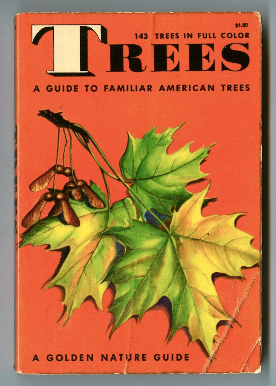 TREES by Zim and Martin! Vintage 1963 GOLDEN NATURE GUIDE (1956) Paperback!