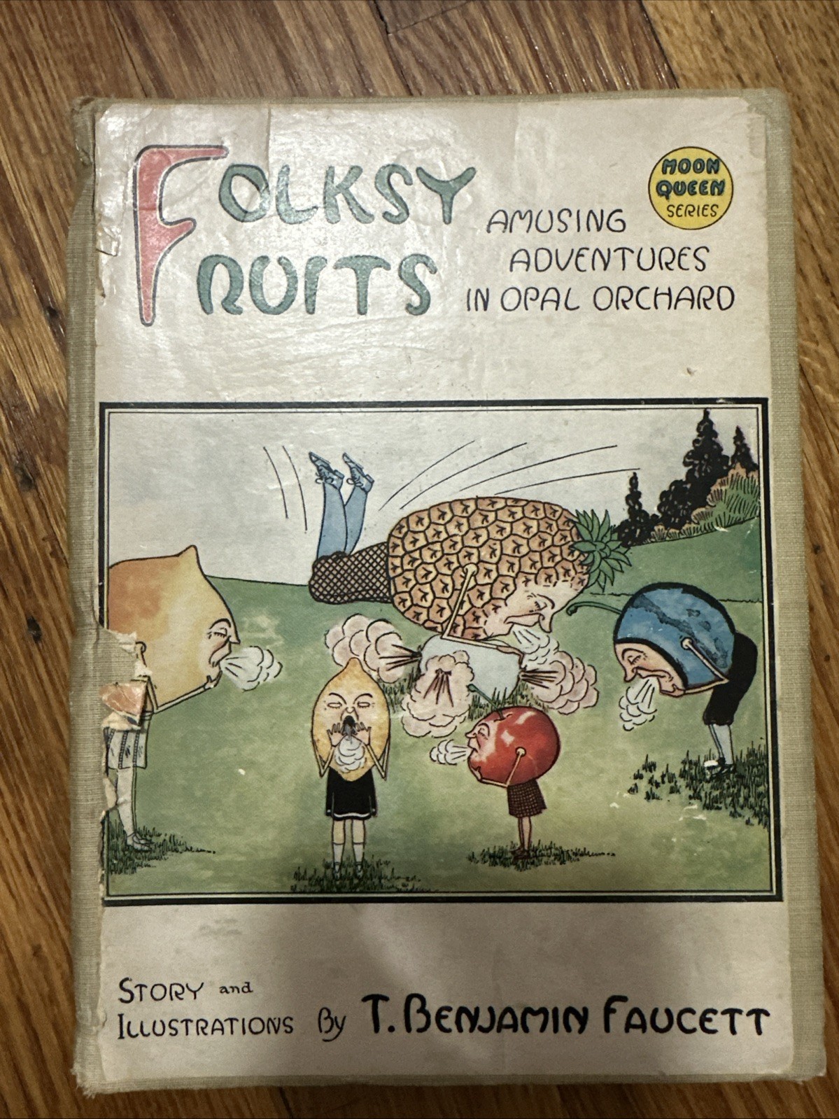 Folksy Fruit 1924 First Edition;illustrated By T.Benjamin Faucett