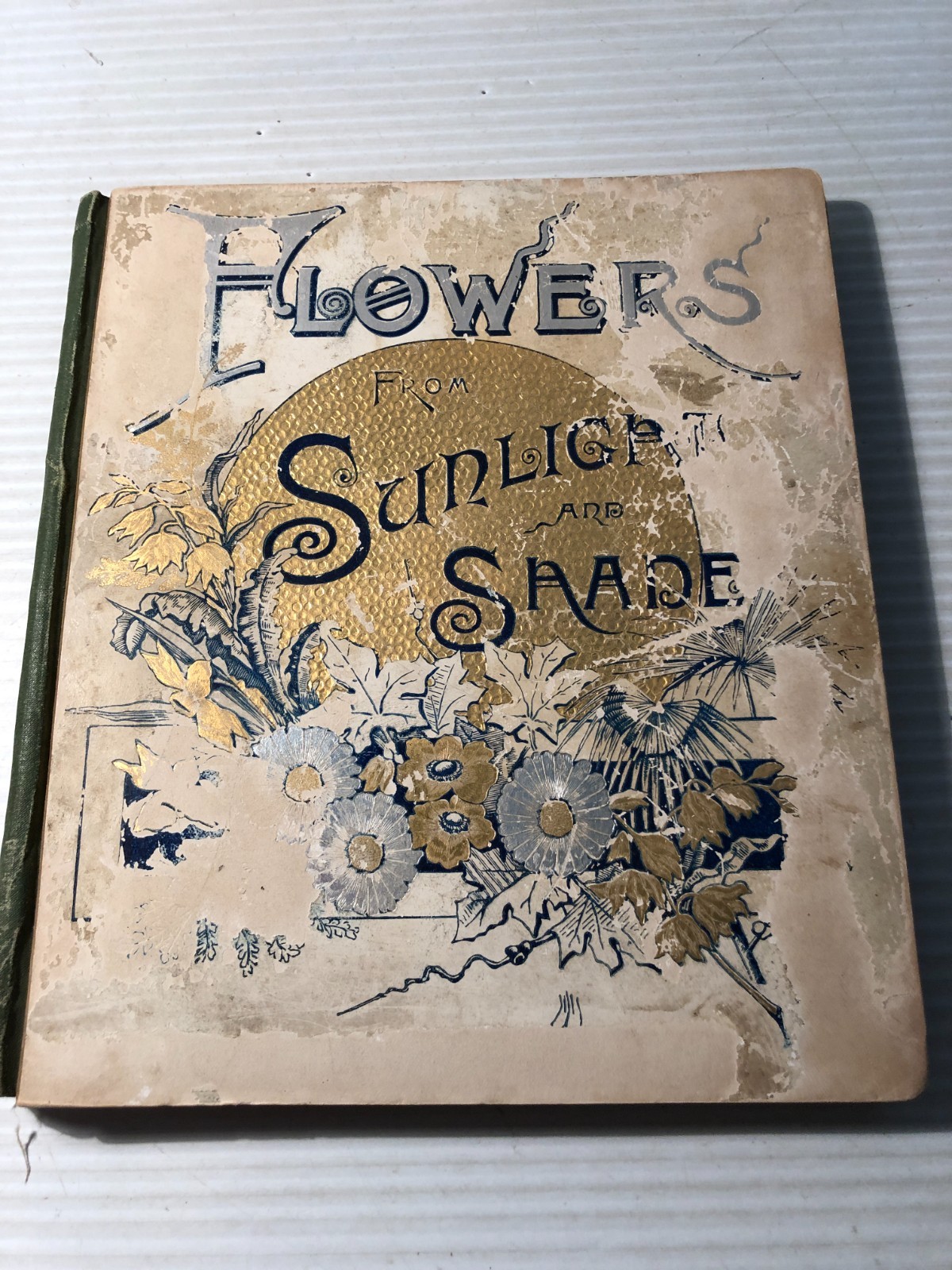 b FLOWERS from SUNSHINE & SHADE by Susie Skelding 1885 Stokes Poems & Illustrat