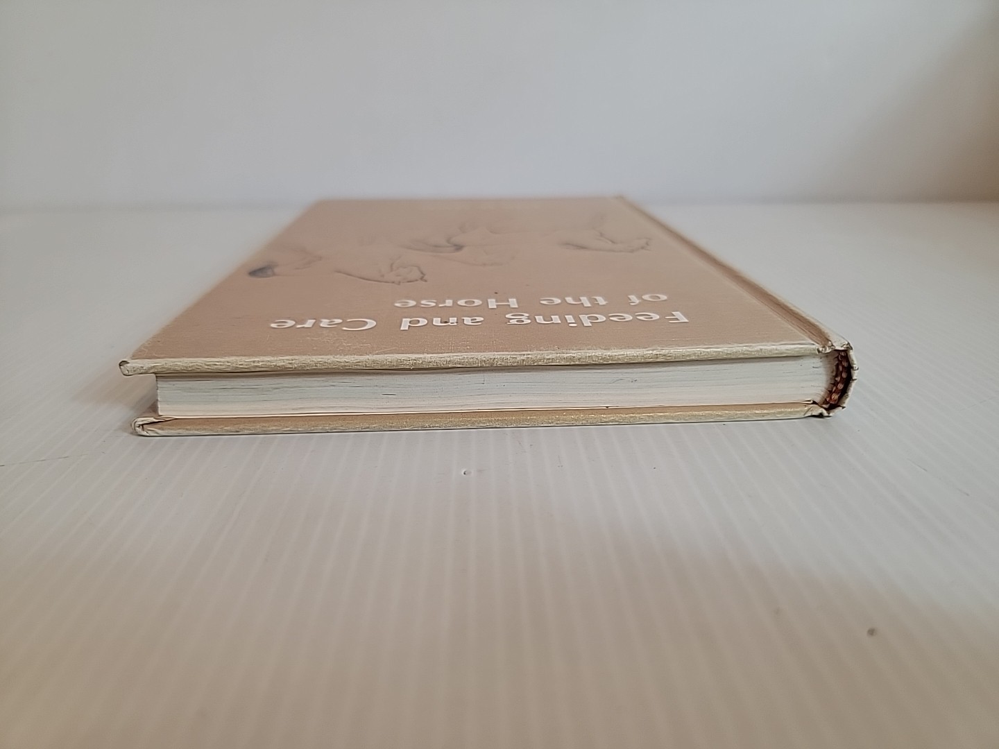 Feeding and Care of the Horse Lon D. Lewis 1982 Hardcover Lea & Febiger Equine
