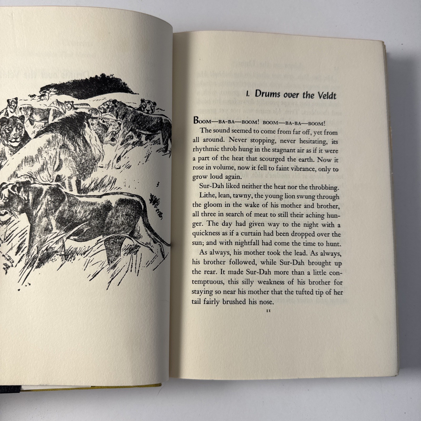 Lions on the Hunt by Theodore J Waldeck 1954 First Edition Wiese HC VTG Africa