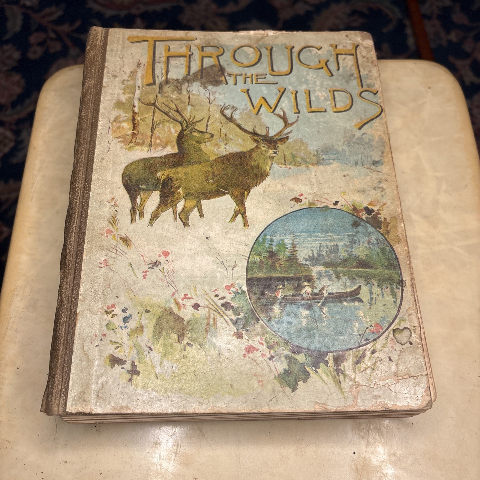 1892 Through the Wilds of Maine HC Captain Charles AJ Farrar RARE Illustrated