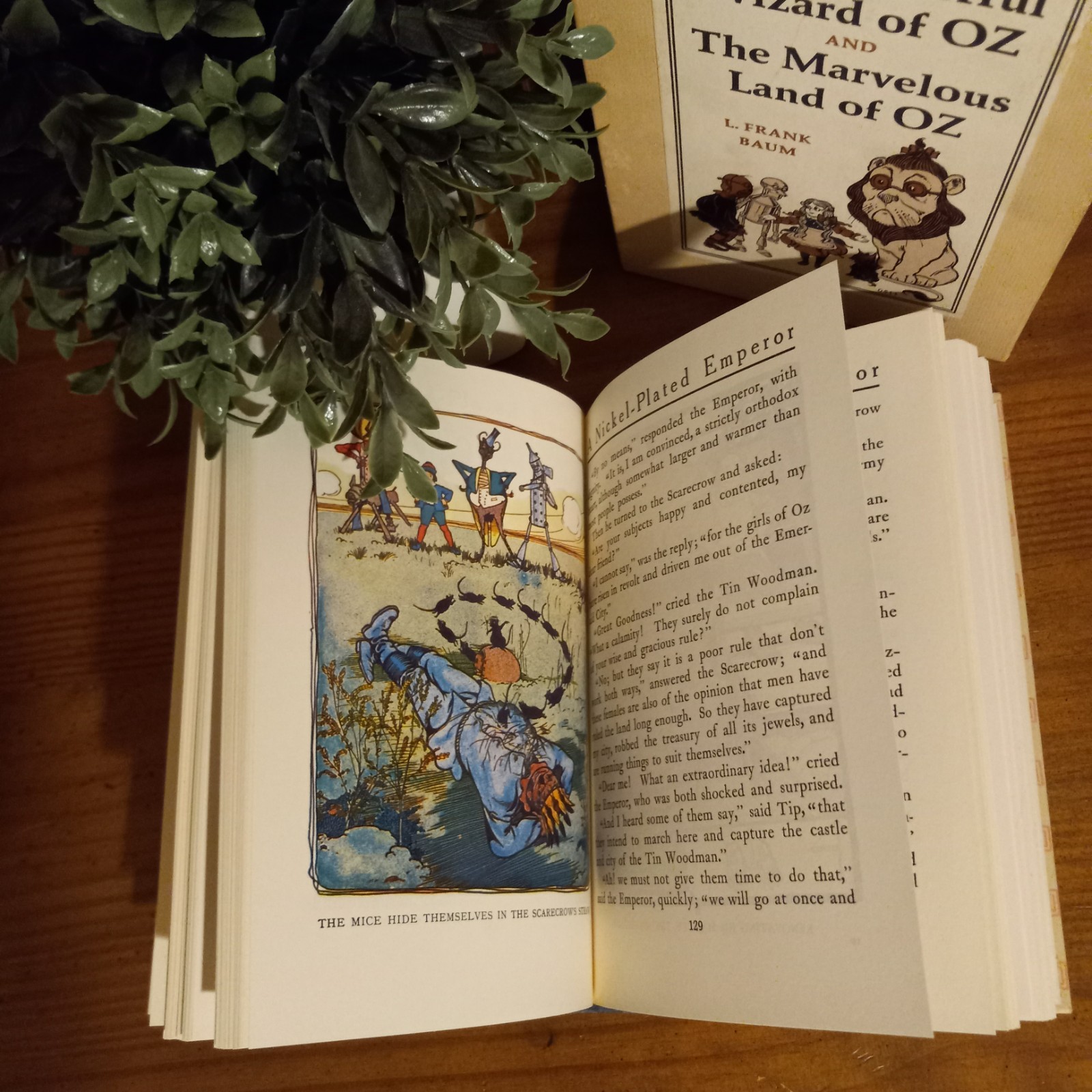 The Wonderful Wizard & Marvelous Land of Oz L Frank Baum 1966 Book Box Set *MINT