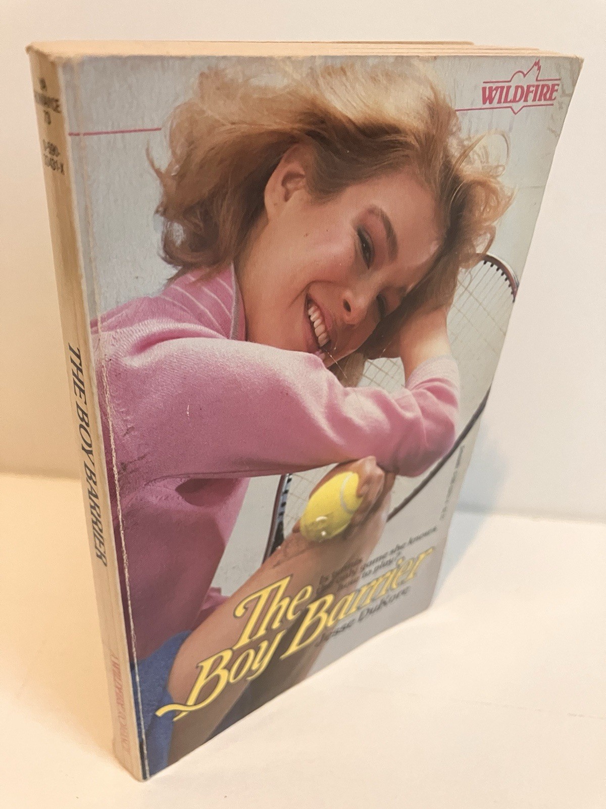 THE BOY BARRIER by Jesse DuKore 1985 Scholastic Wildfire Romance Very Good
