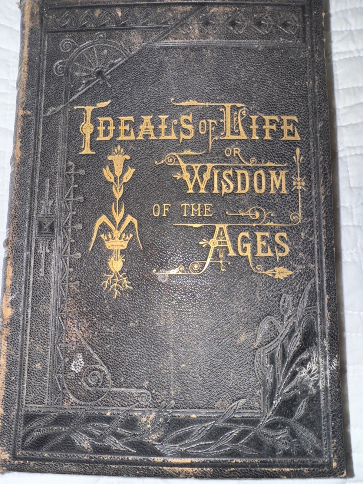 IDEALS OF LIFE or WISDOM OF THE AGES for OLD AND YOUNG-by O.E. FULLER-1881
