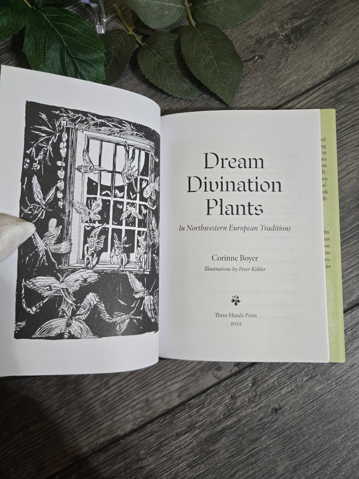Dream Divination Plants – Corinne Boyer – Three Hands Press – Numbered Hardcover