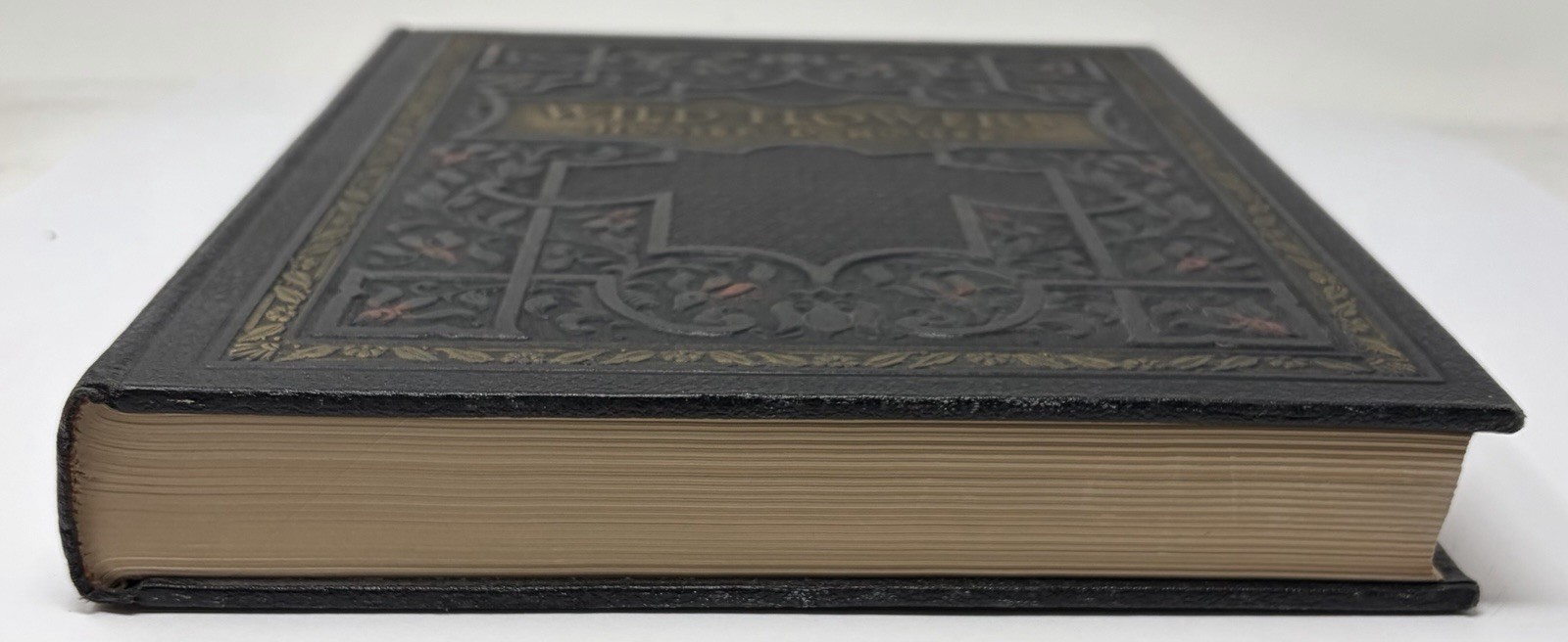 Wild Flowers by Homer D. House 1936 Antique Book Rare One Vol. Version Hardcover