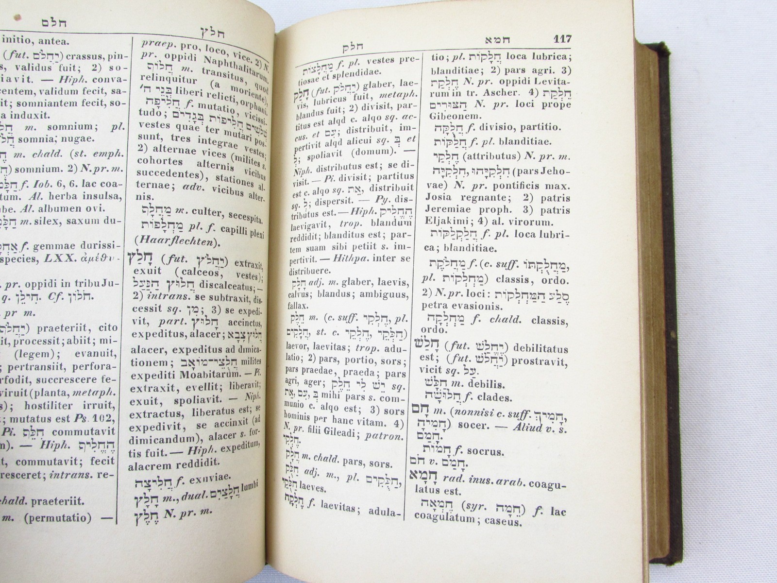 Lexicon Hebraicum et Chaldaicum E F Leopold 1896 HC Hebrew/Latin Dictionary