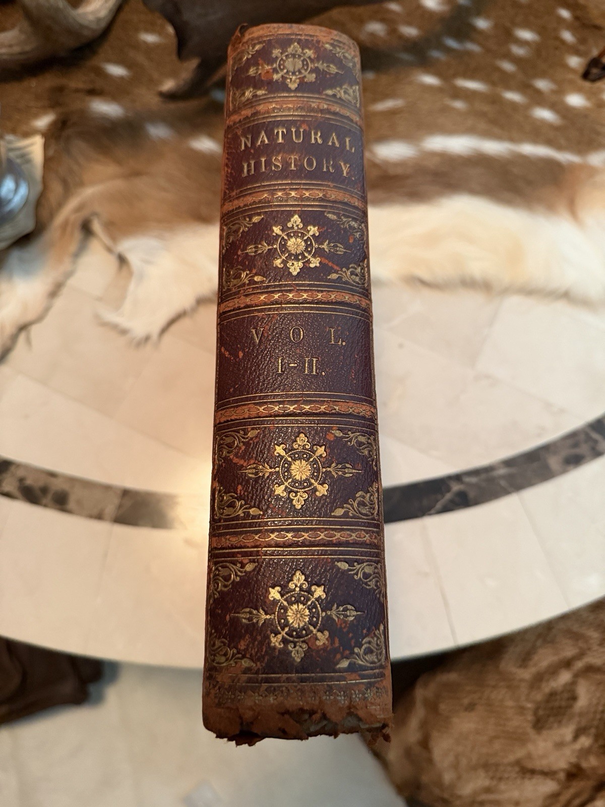 Cassell Petter & Galpin Natural History Vol I-II Illustrated Leather London NY