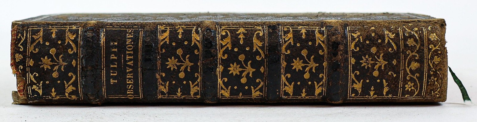 Nicolai Tulpii, Nicolaes Tulp / OBSERVATIONES MEDICAE 1739