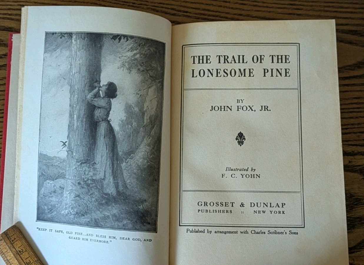Lot of 2 Vintage 1900s Books:The Trail of the Lonesome Pine & The Covered Wagon
