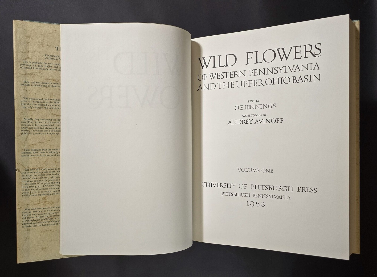 O E Jennings / Wild Flowers of Western Pennsylvania and the Upper Ohio Basin 1st