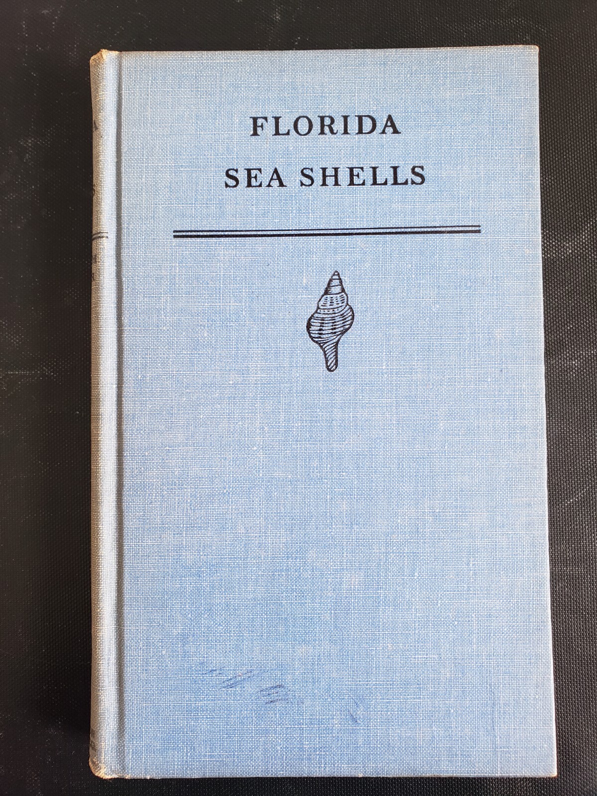 Florida Sea Shells Bertha Aldrich & Ethel Snyder 1936 Riverside Press Cambridge
