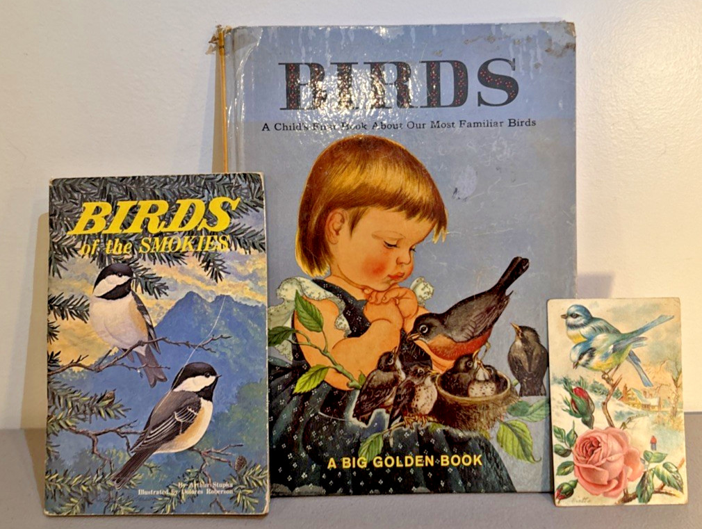 Vintage Bird Books Lot 1958 Eloise Wilkin Golden Press Birds Smokies Stupka 1972