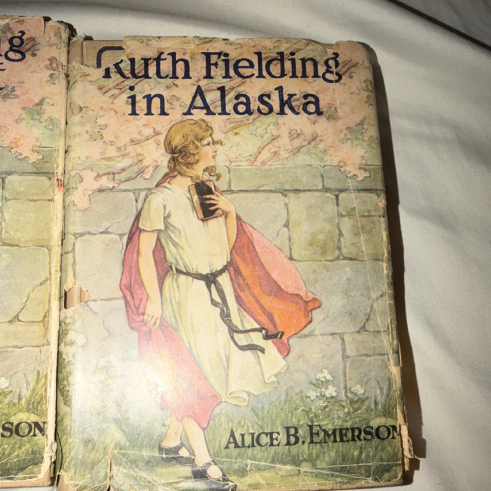 Alice B. Emerson Ruth Fielding Lot 3 Hardcover: College, Down East, Alaska