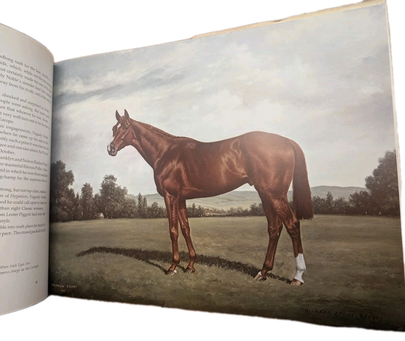 Classic Lines Gallery Great Thoroughbreds Richard Stone Reeves First Edition Art