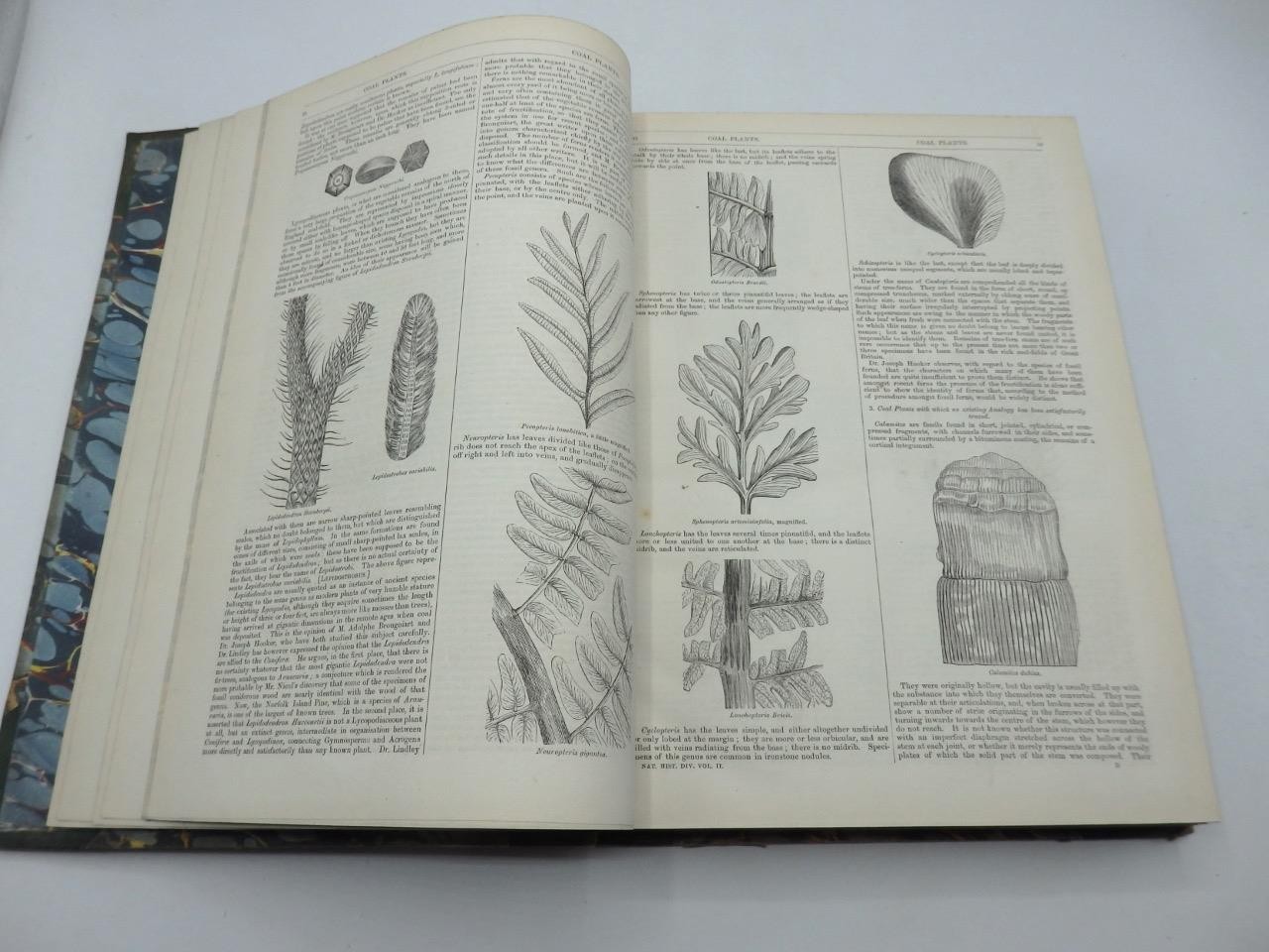 1854 ENGLISH CYCLOPAEDIA of NATURAL HISTORY Charles Knight – COMPLETE 4 VOLS.