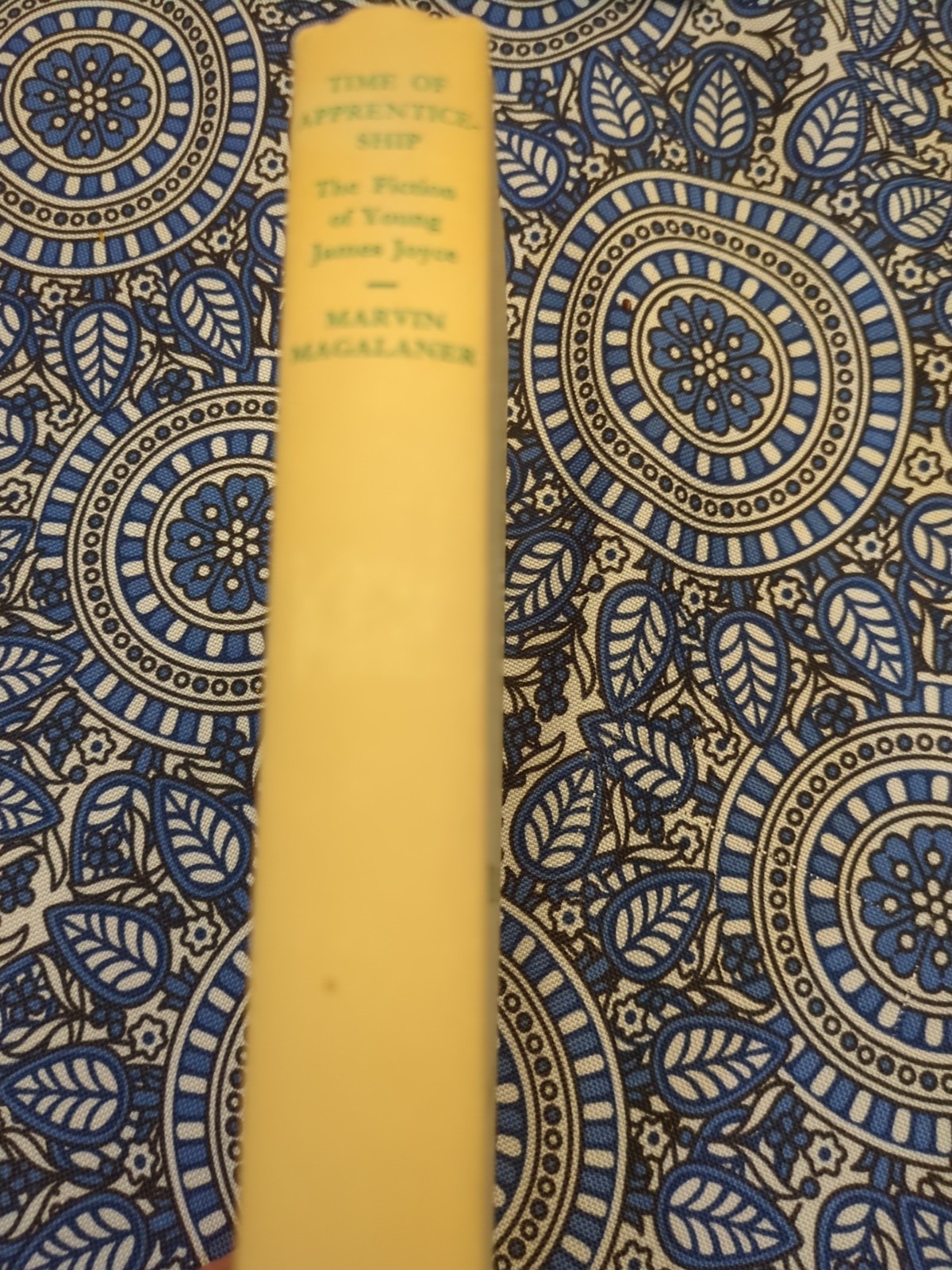 Apprenticeship Young James Joyce Marvin Magalaner 1959 1st Ed / LCCN 59-6018