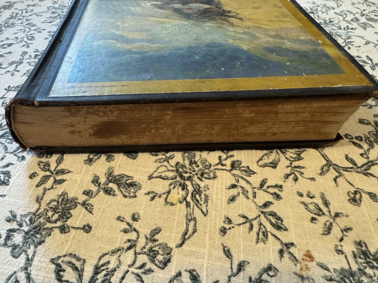 Jules Verne The Mysterious Island 1935 Scribner Hardcover, Illus N.C. Wyeth