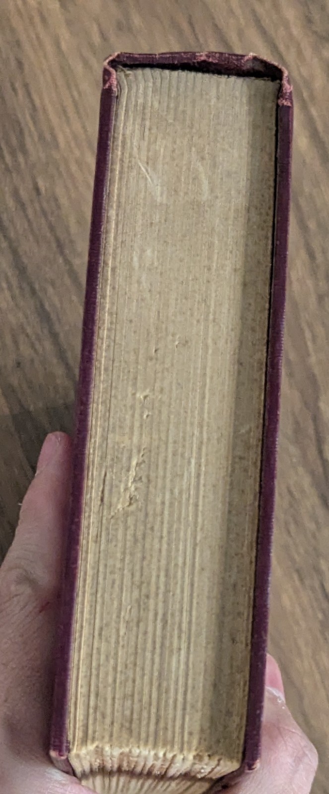 Henry Cabot Lodge Democracy of the Constitution Scribner’s 1915 1st Ed Hardcover