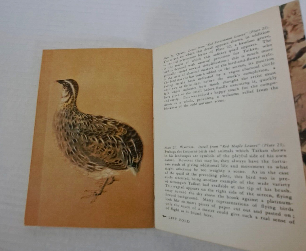 Yokoyama Taikan Library of Japanese Art 1959