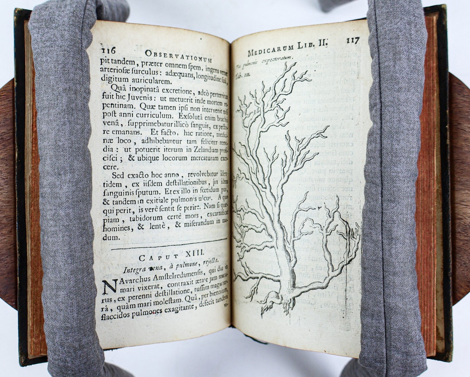 Nicolai Tulpii, Nicolaes Tulp / OBSERVATIONES MEDICAE 1739