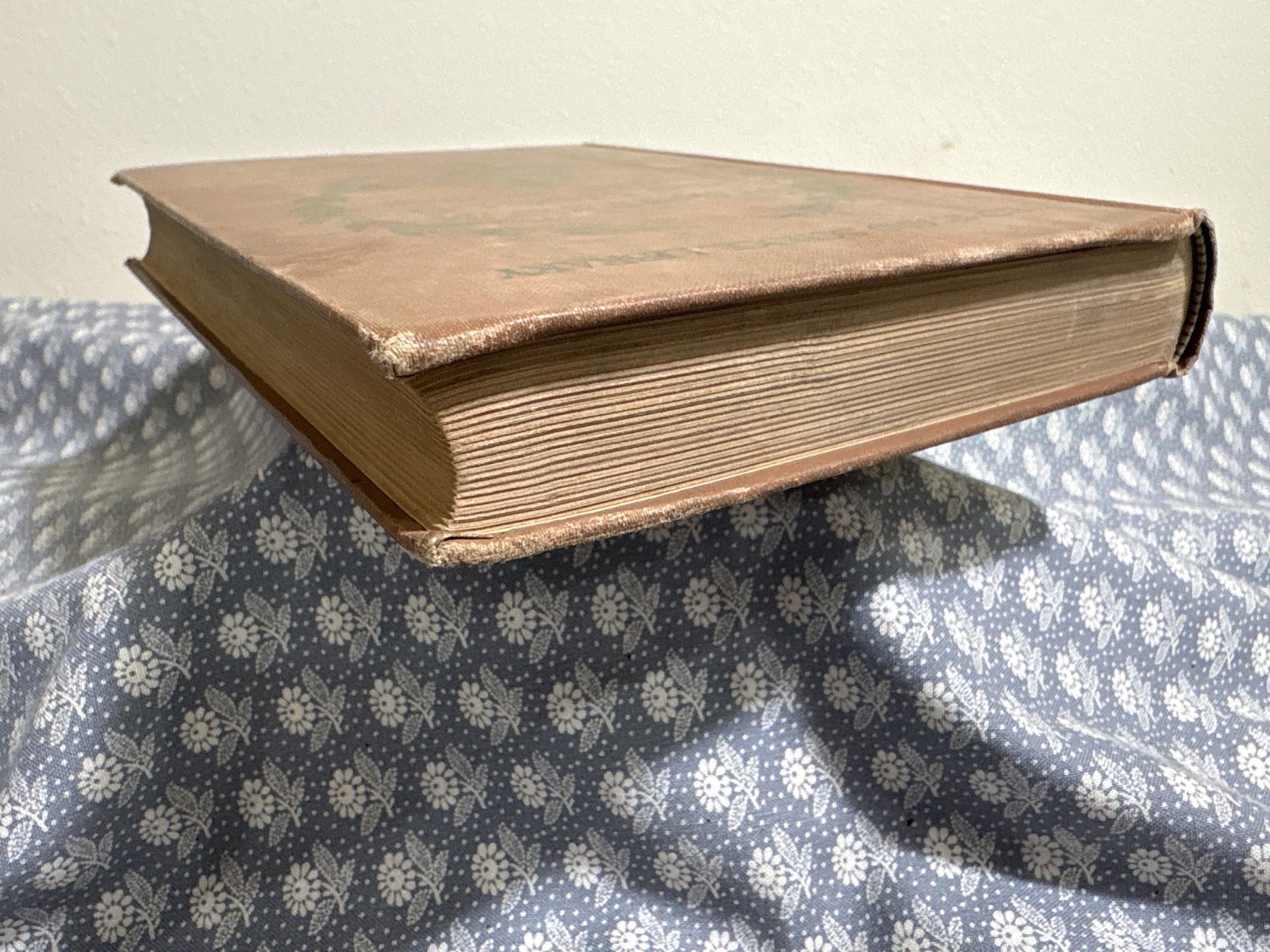 “Stories Of The Old World” By Rev. Church Copyright 1884 Published 1899 Ginn&Co.