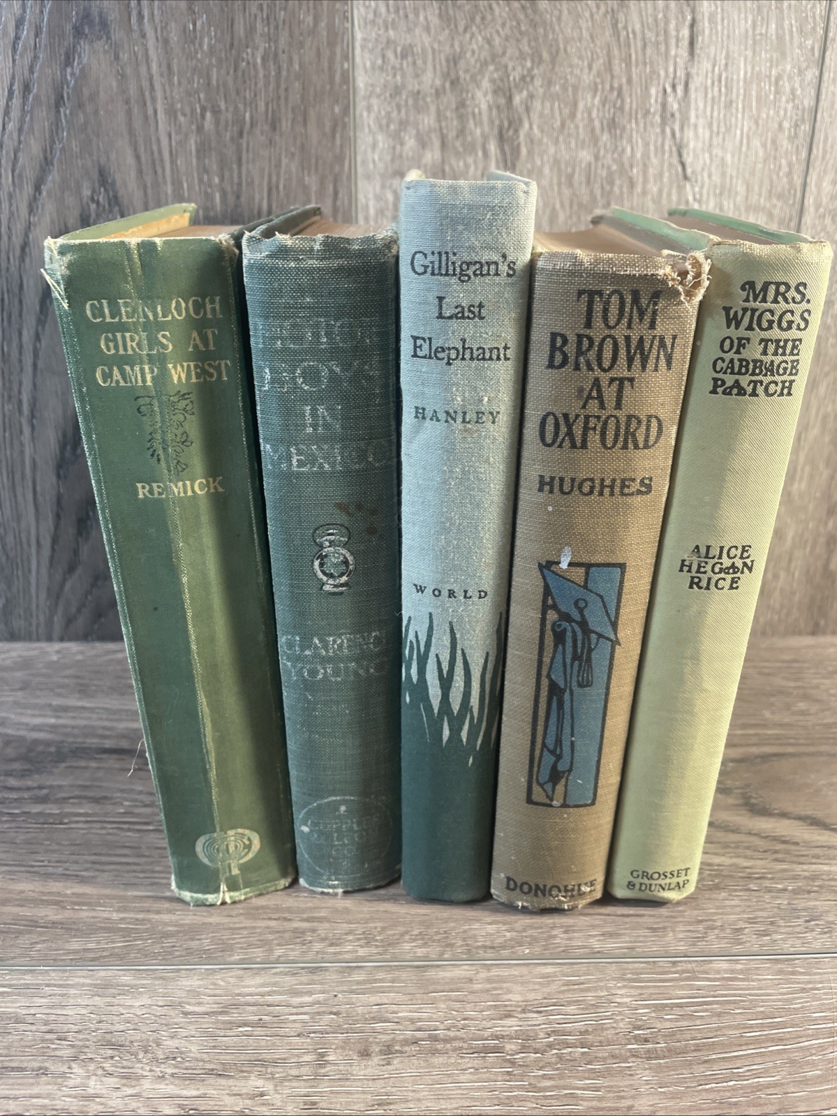 Lot of 5 Vintage Green Earth Tone Old Book Decor Staging Antique Prop Decorative
