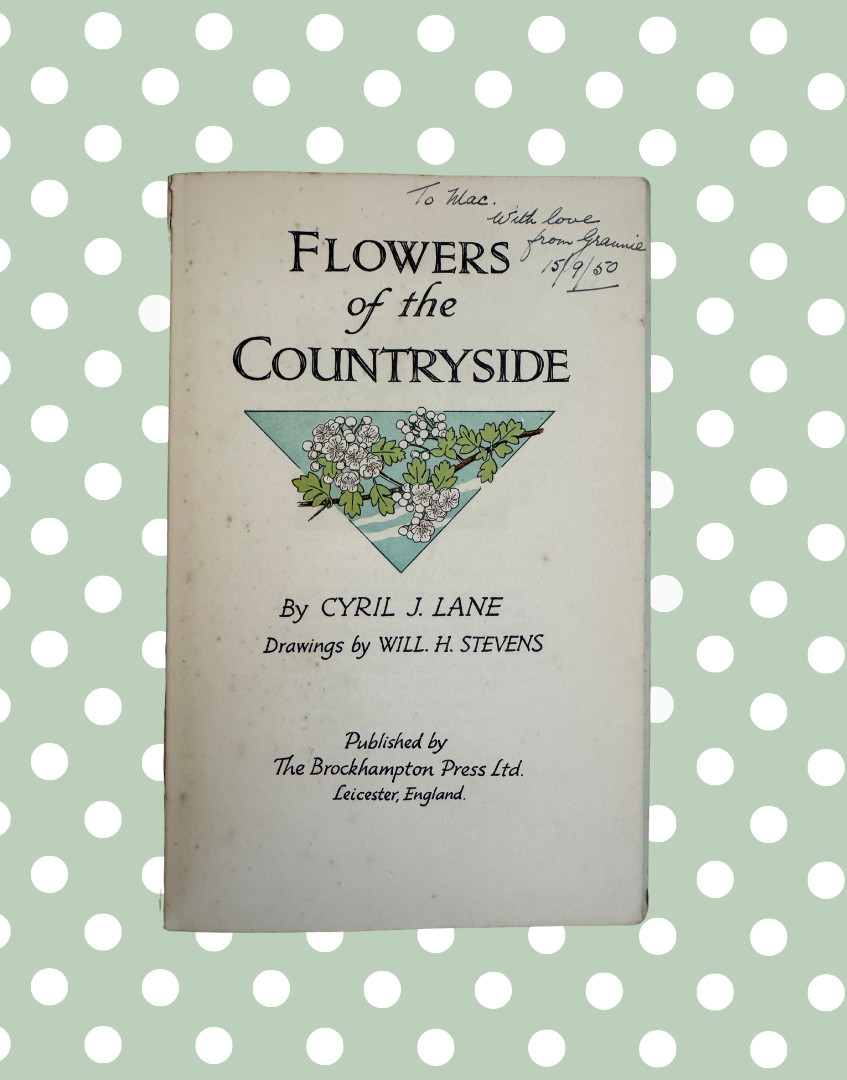 Vintage Flowers of the Country-Side Book Cyril J Lane Young Naturalist 1950s