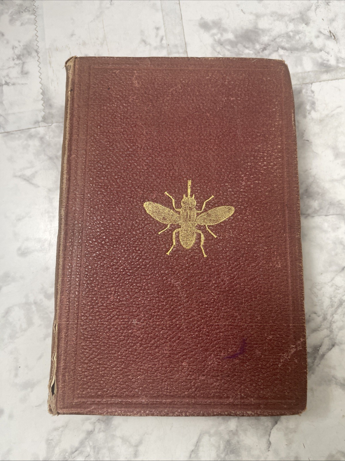 A Popular Account of Missionary Travels Researches in S. Africa Livingstone 1861