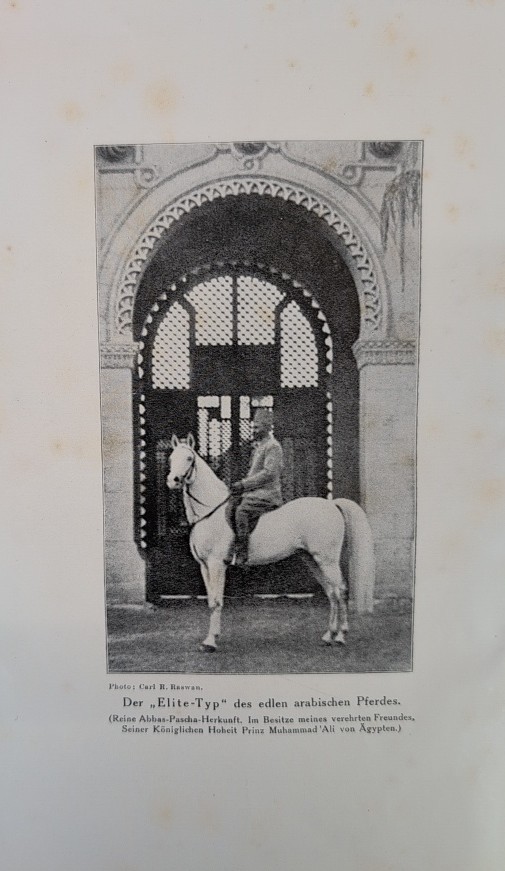 Der Araber und sein Pferd. Mit 22 Abbildungen und 3 Tafeln und einem Titelbild.
