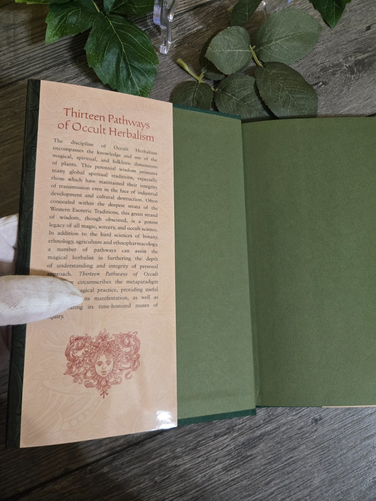 Thirteen Pathways of Occult Herbalism Daniel Schulke Three Hands Press- NEW