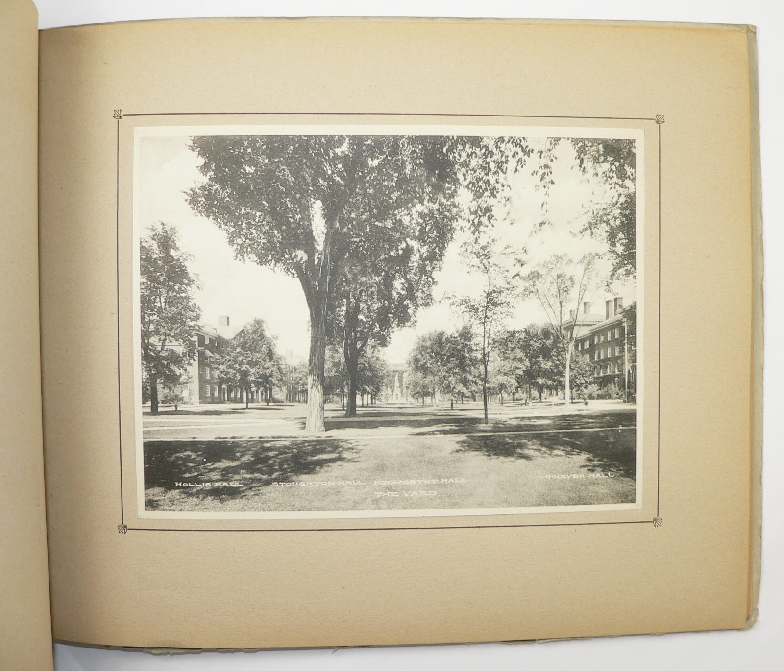 c1925 Harvard University Antique Photo Book, Albertype Photographs, Cambridge MA