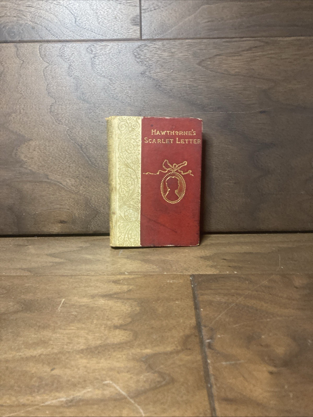 1893 HAWTHORNE The Scarlet Letter HENRY ALTEMUS HC Antique Art Nouveau
