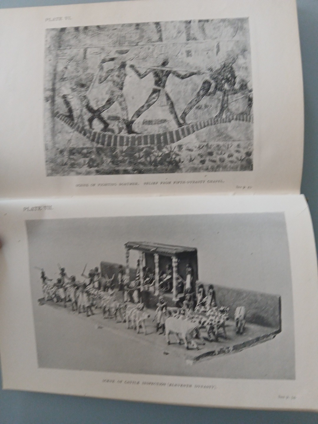 1923 1st EGYPTIAN HISTORY AND ART Mrs. A. A. Quibell MUSEUM COLLECTIONS Egypt