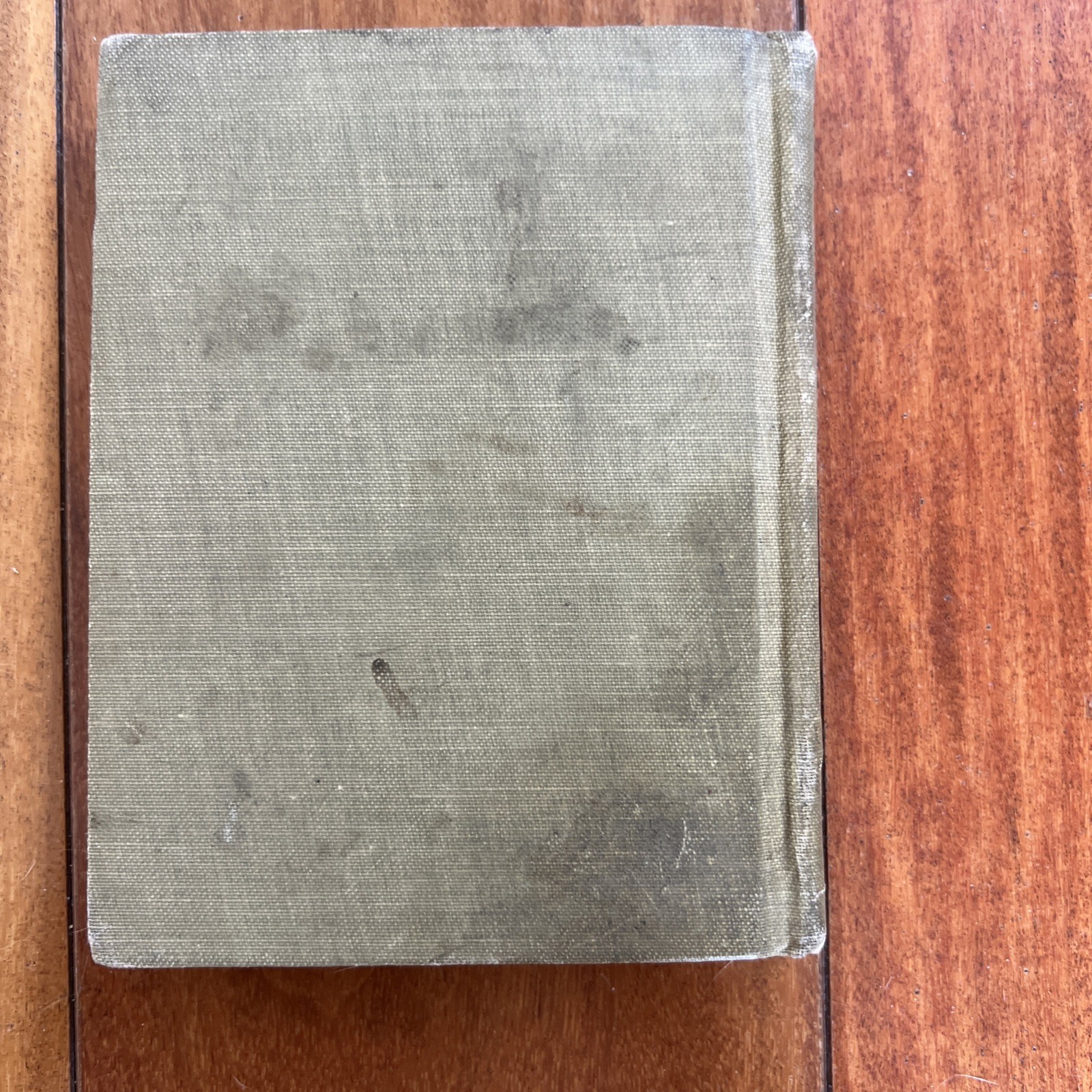 Hawthorne’s Wonder -Book 1908