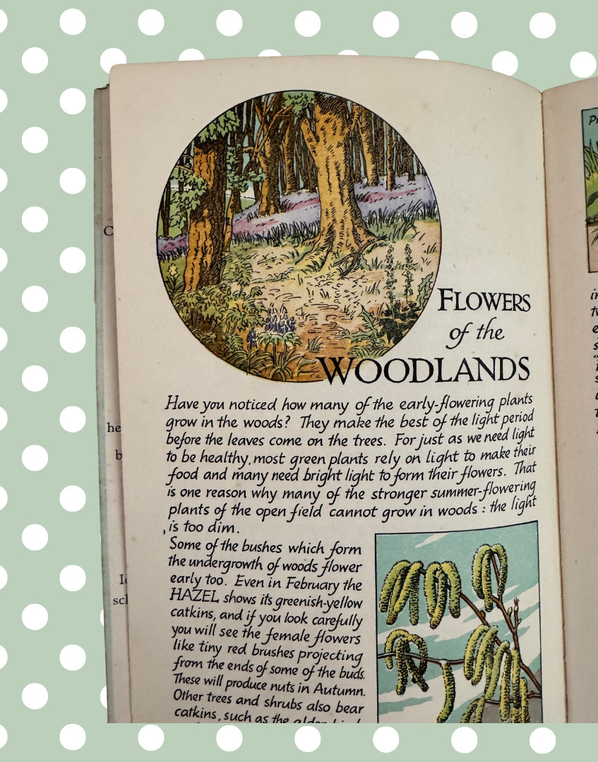Vintage Flowers of the Country-Side Book Cyril J Lane Young Naturalist 1950s