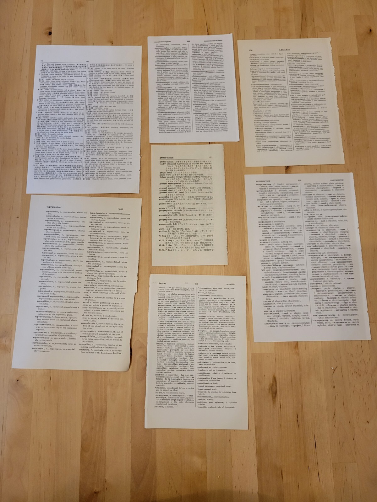 Vintage Foreign Language to English Book Pages (Lot of 400)