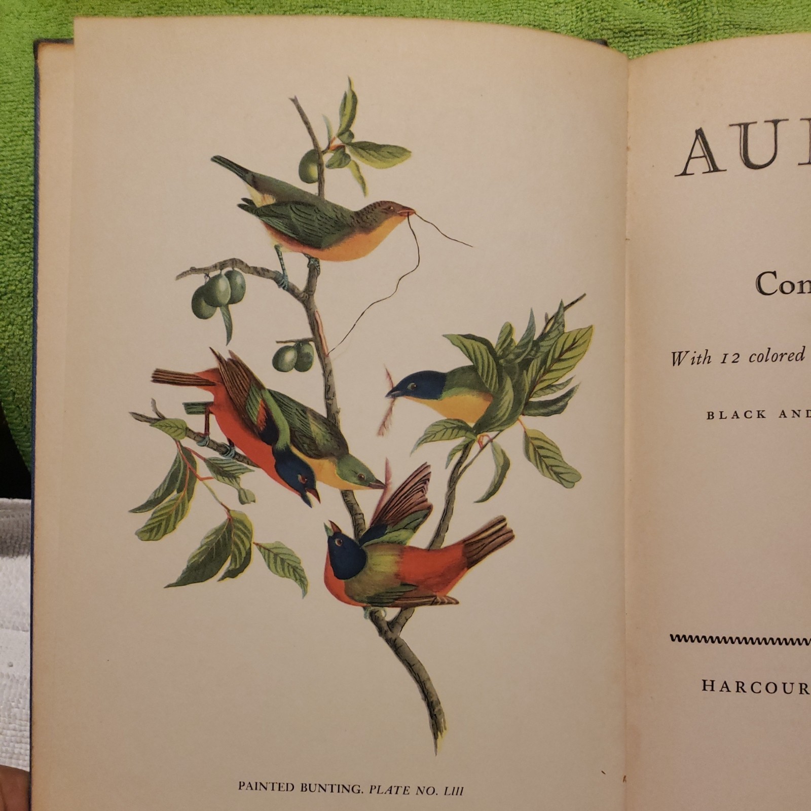 Audubon by Constance Rourke HC Illus. James MacDonald 1936 Vintage