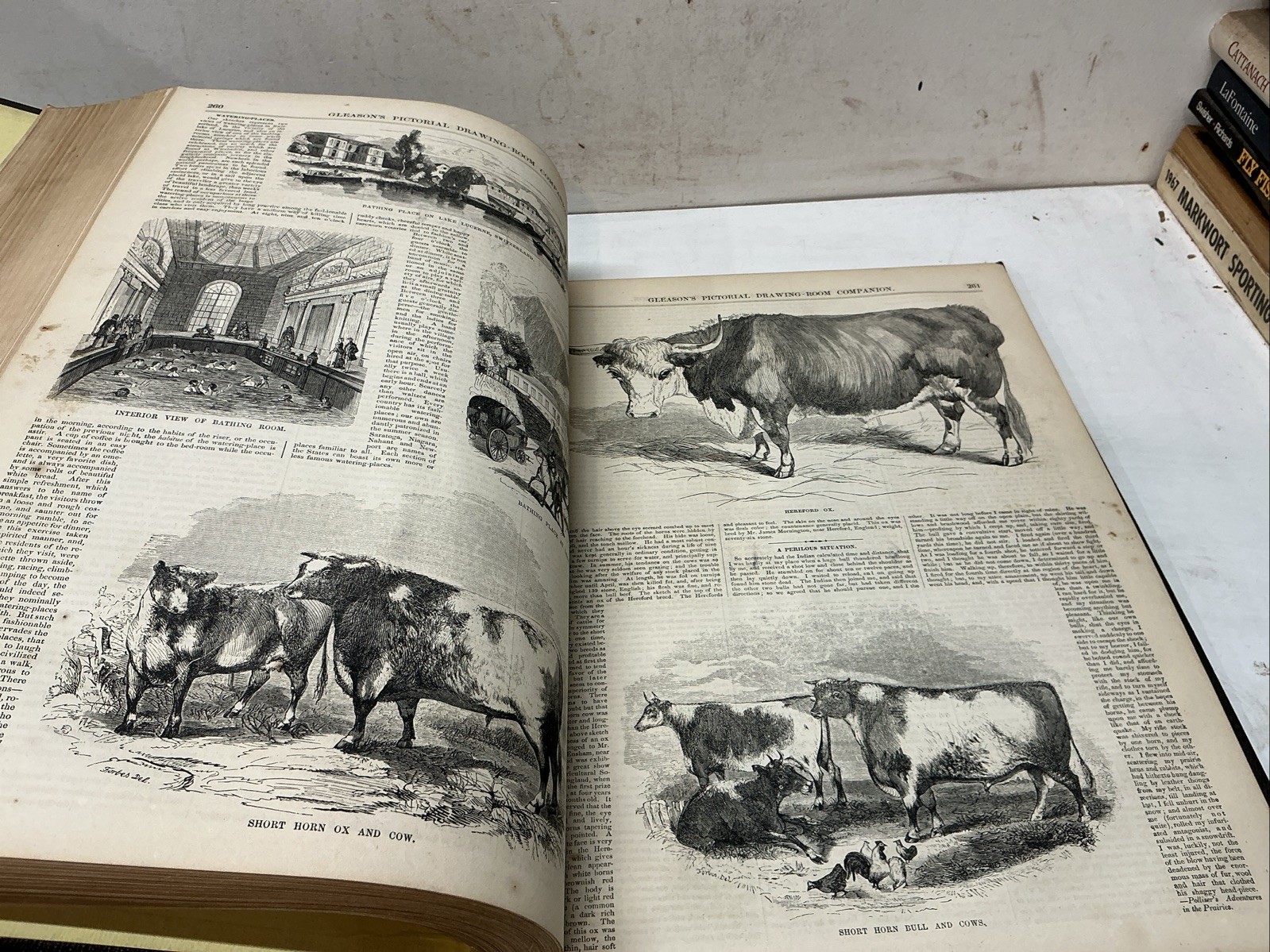 1854 Vol VII July-Dec Gleason’s Pictorial Drawing Room Companion