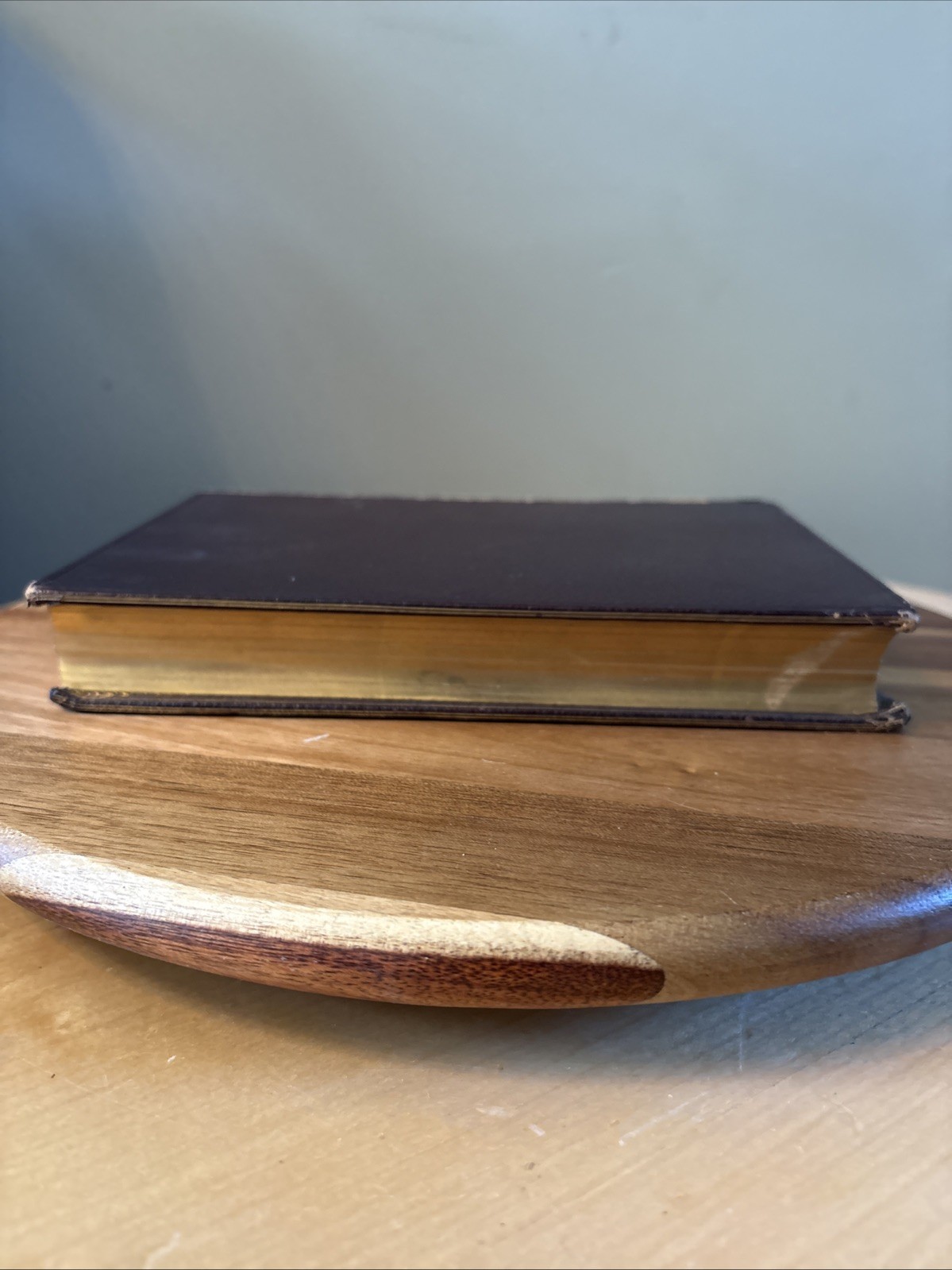 Leather Bound & 1st Edition “Florida Days” by Margaret Deland 1889