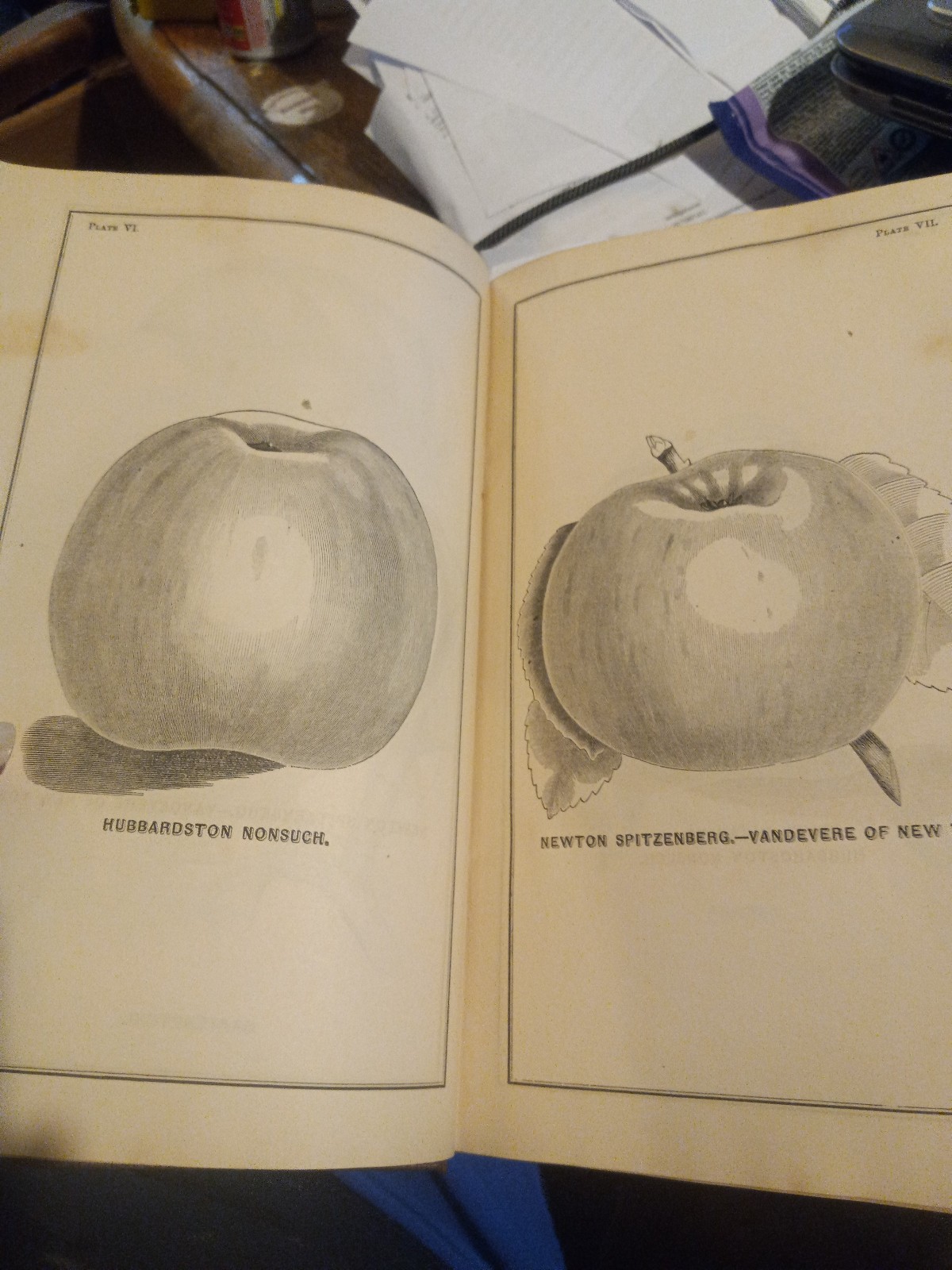 1862 USDA NICE! ILLUST COMMISIONER AGRICULTURE REPORT W/48 PLATES & INPAGE PICS!