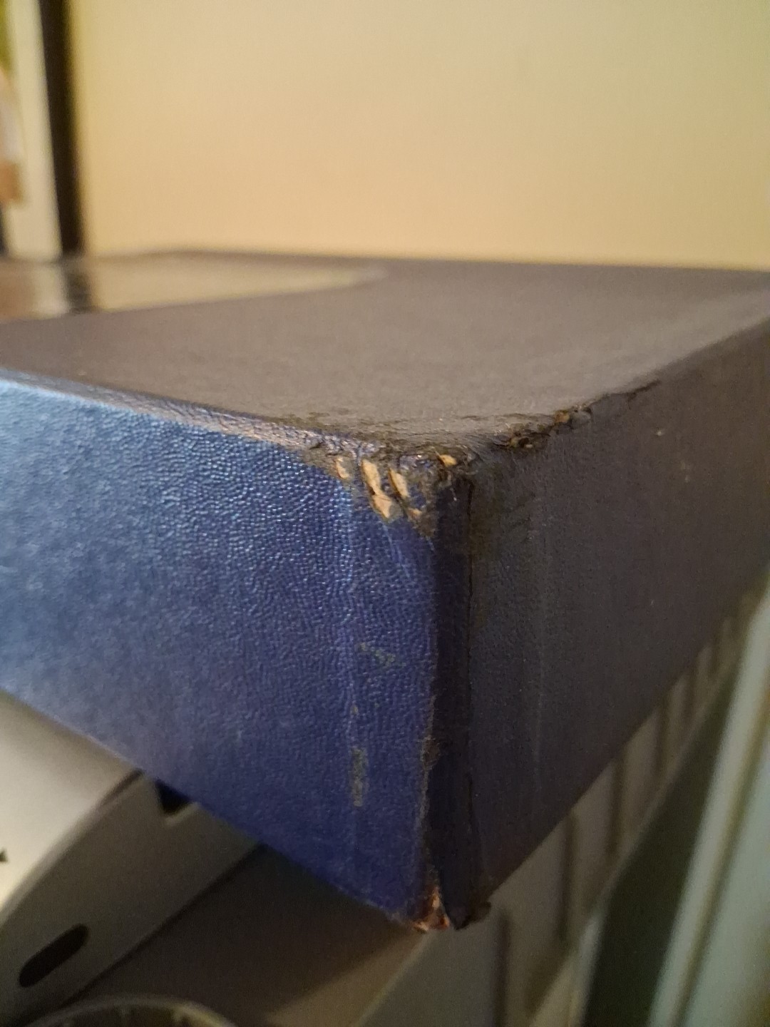 1967 New Scofield Reference Bible Blue 09381x Box Leather Gold Edge Loose Leaf