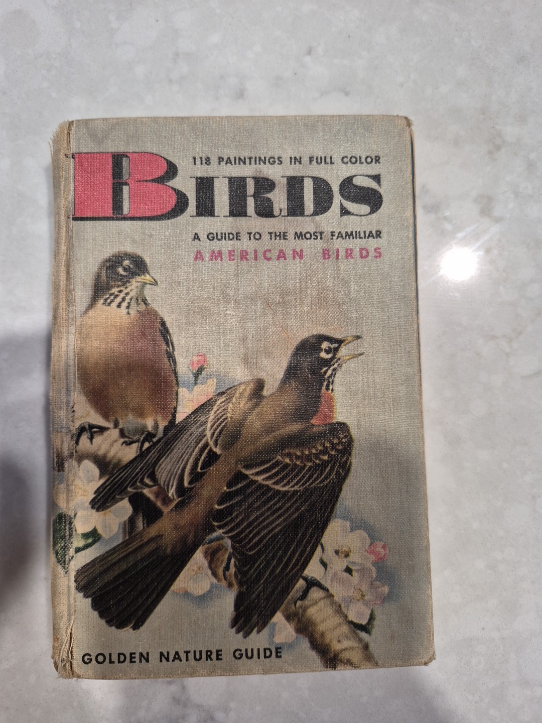Birds A Guide to the Most Familiar American Birds Golden Nature Guide 1949
