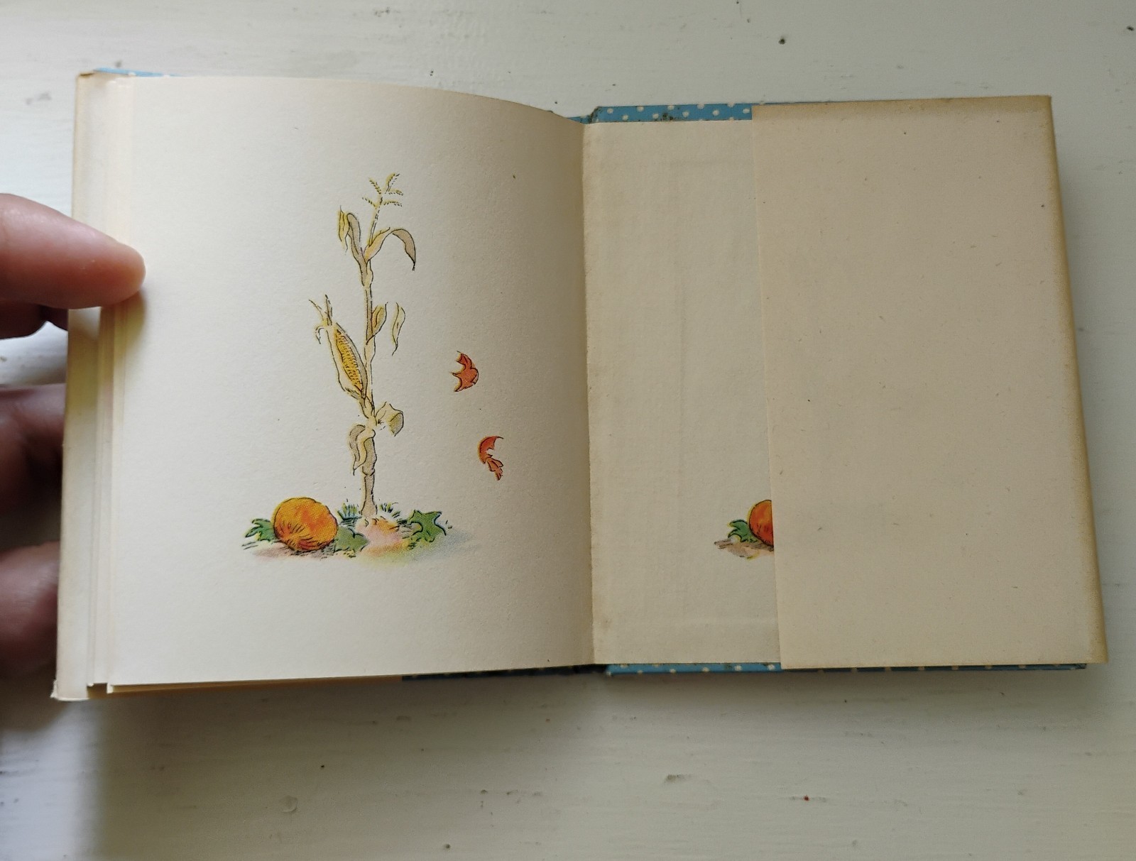Pumpkin Moonshine Tasha Tudor 1945 1st Edition 4th Printing Children’s Story
