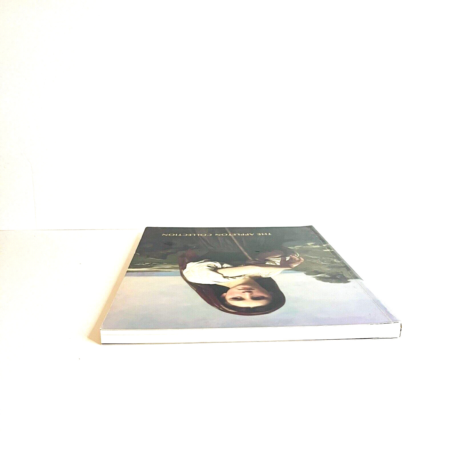 1987 The Appleton Collection Art Museum Book Softcover