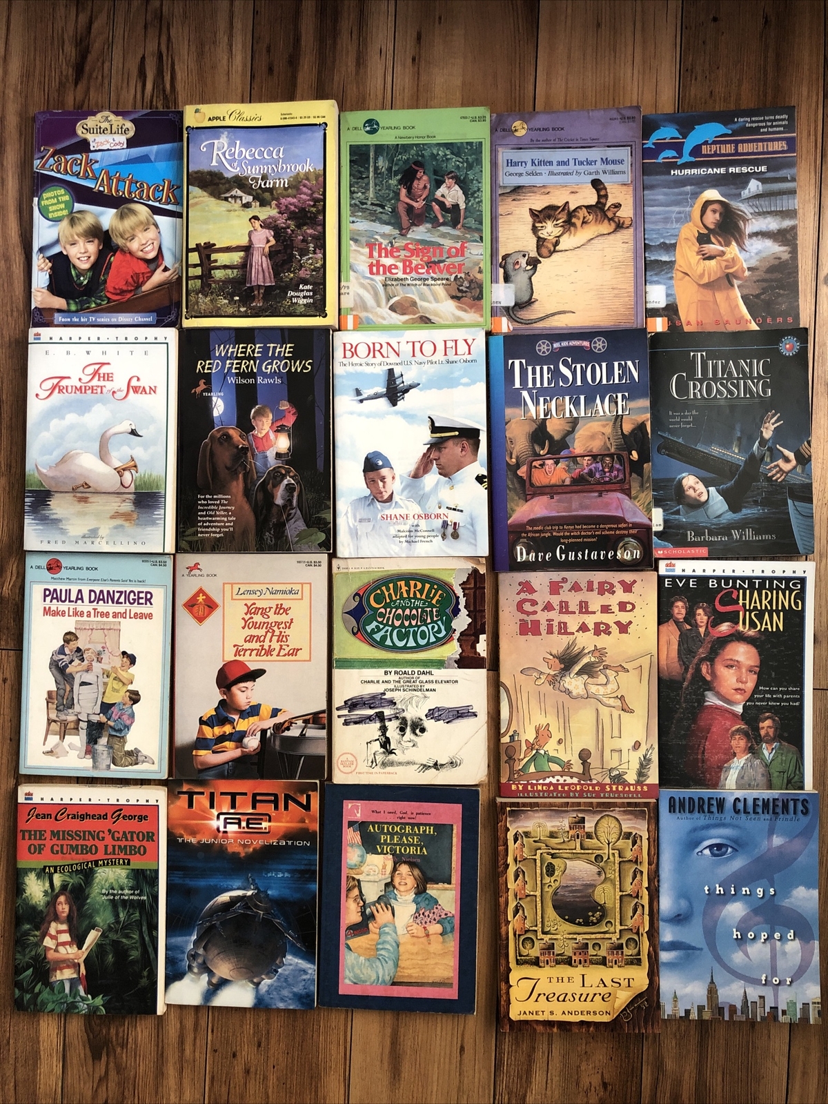 Lot of 20 Chapter Children Young YOUTH RANDOM UNSORTED BOOKS MIX Exlib #10
