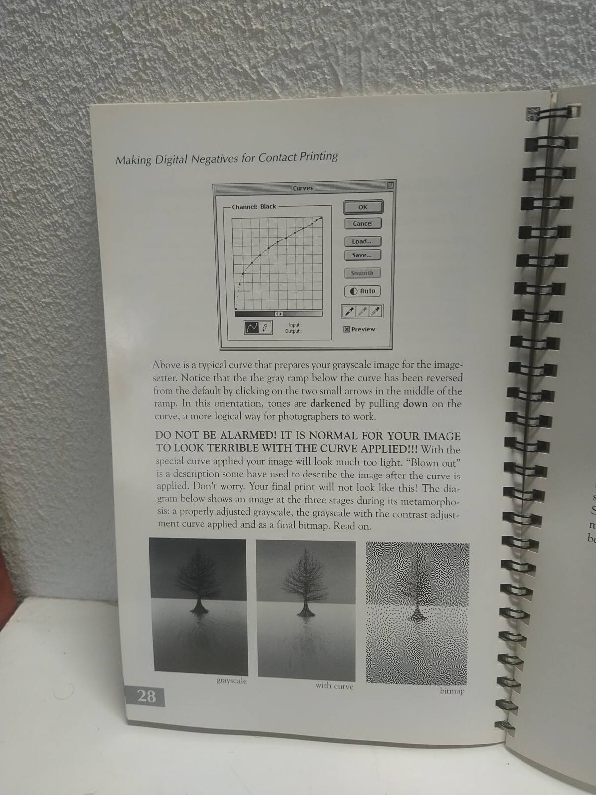 Making Digital Negatives for Contact Printing with Floppy Disk 1995 Photography