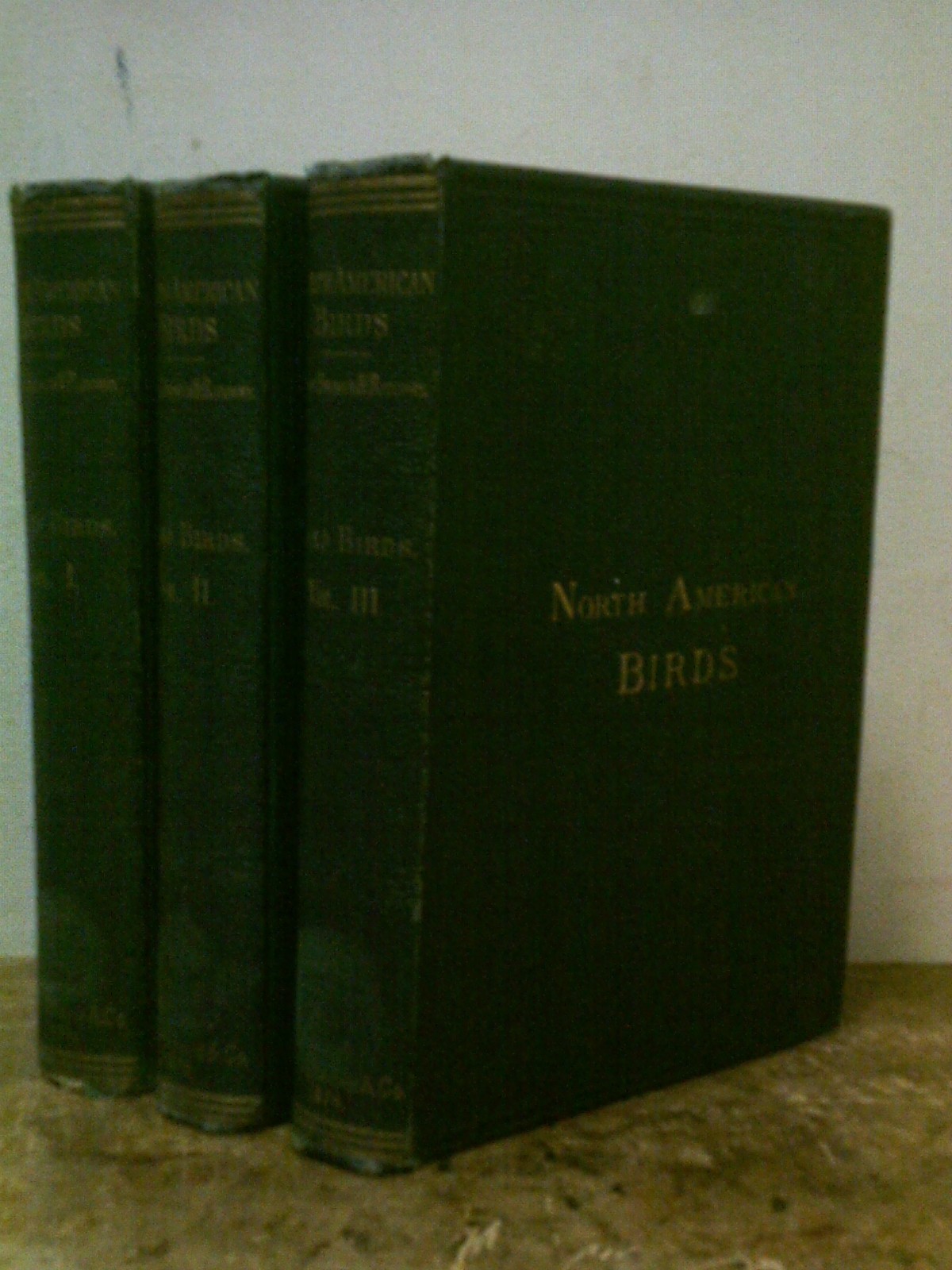 A HISTORY OF NORTH AMERICAN BIRDS BY BAIRD, BREWSTER AND RIDGEWAY, 3 VOLS, 1874