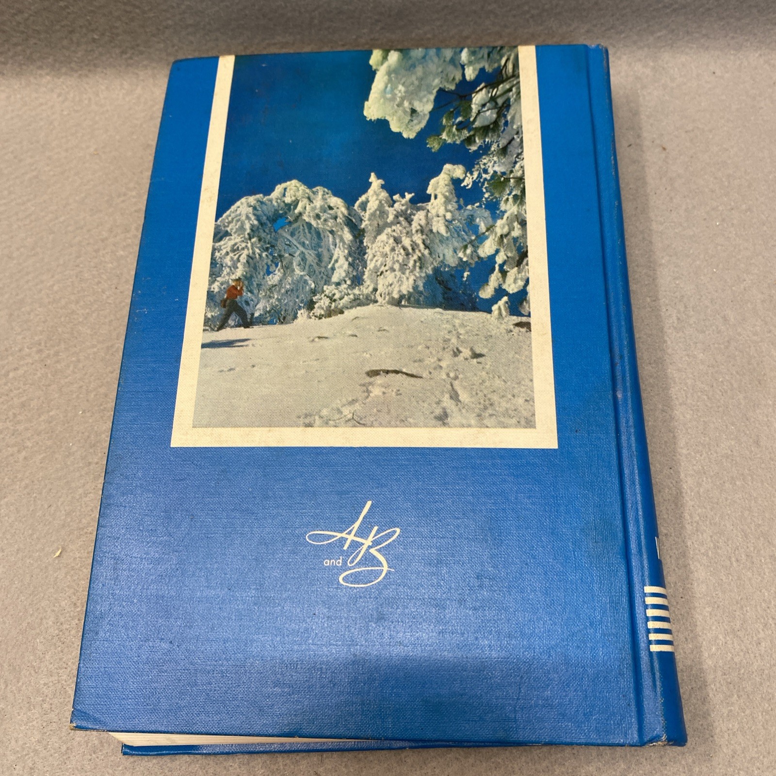 Vintage 1956 Our Environment How We Use And Control It Hardcover